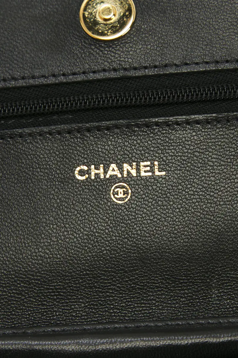 Chanel Chanel Lambskin Classic Wallet On Chain | Thumbnail 5