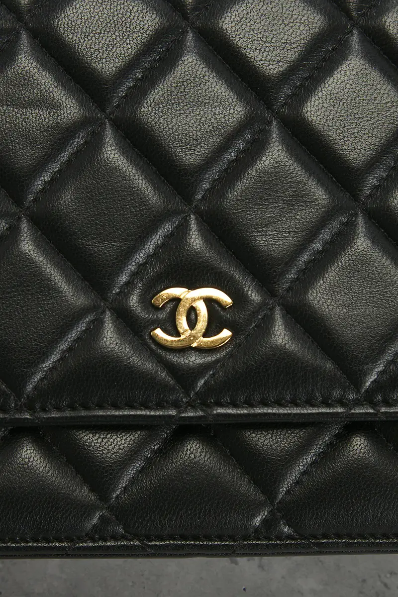 Chanel Chanel Lambskin Classic Wallet On Chain | Thumbnail 6