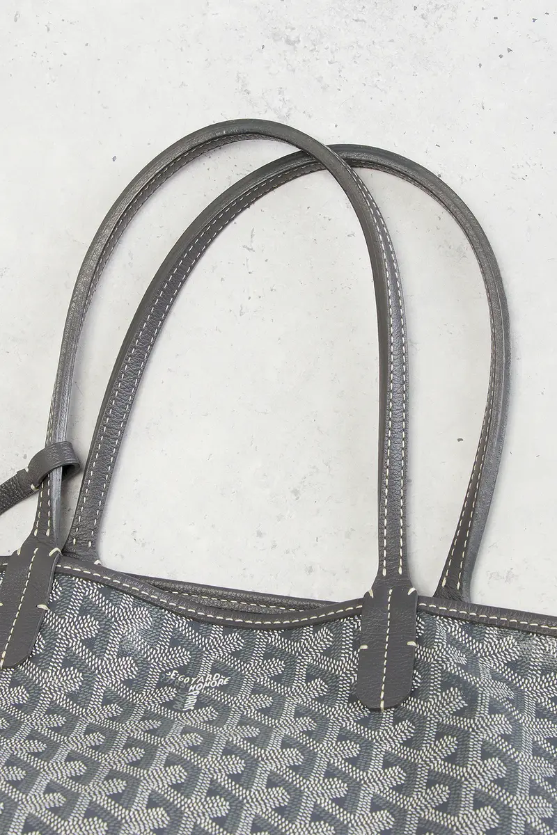 goyard Goyard Saint Louis PM Tote Bag | Thumbnail 7