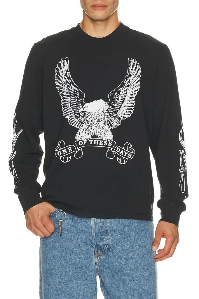 ONE OF THESE DAYS An American Original Long Sleeve Tee Shirt
