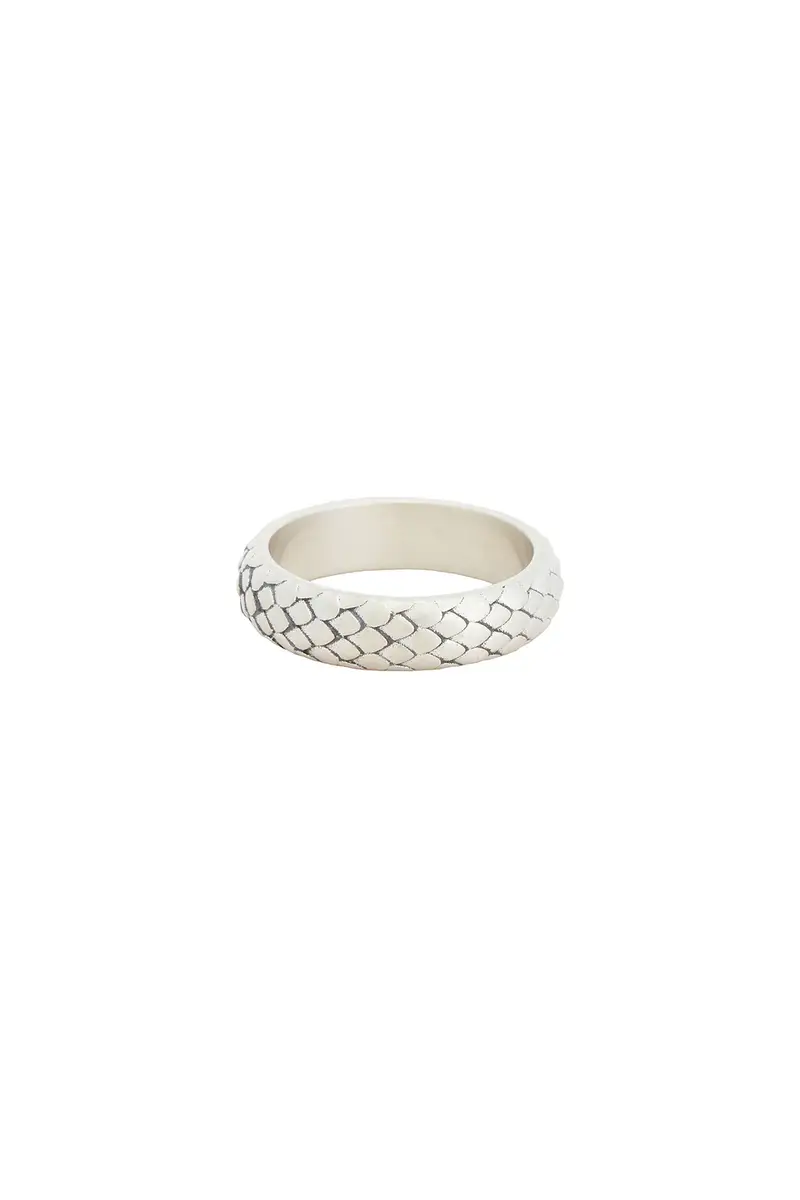 Scale Ring Scale Ring