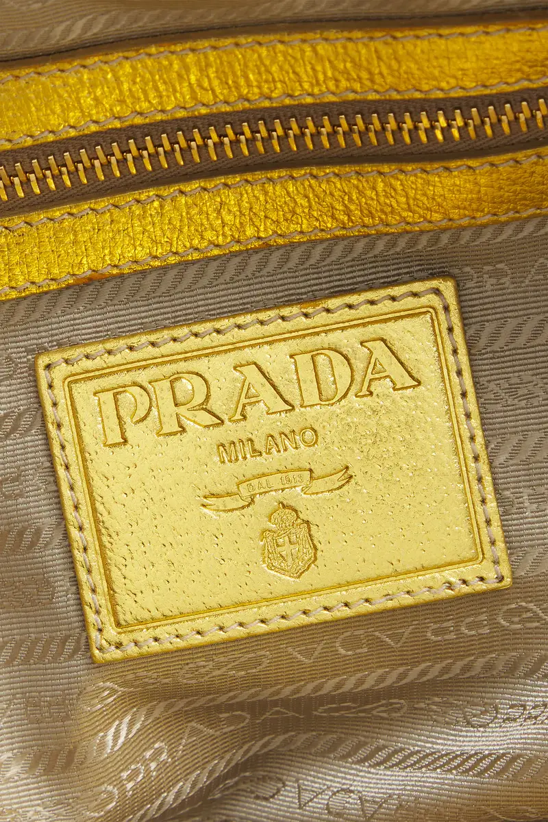 Prada Prada Paglia & Cinghiale Handbag | Thumbnail 5