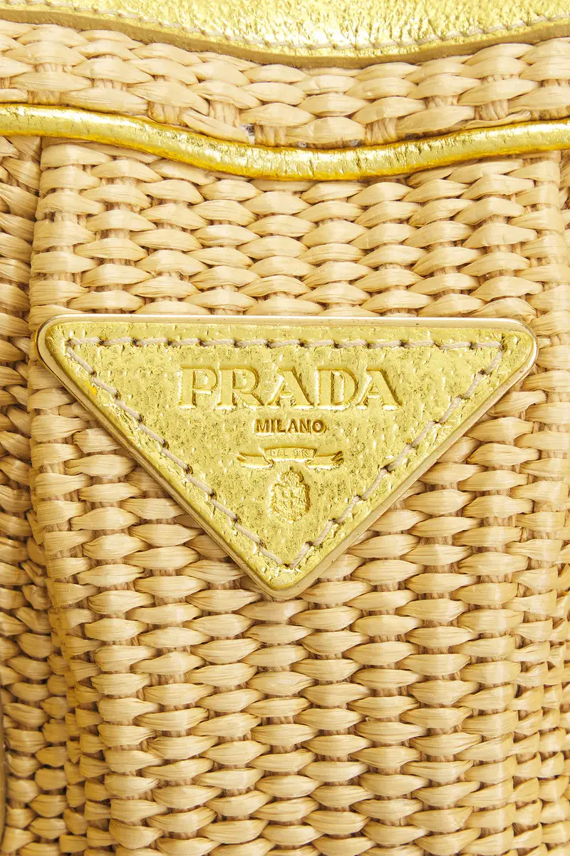Prada Prada Paglia & Cinghiale Handbag | Thumbnail 6