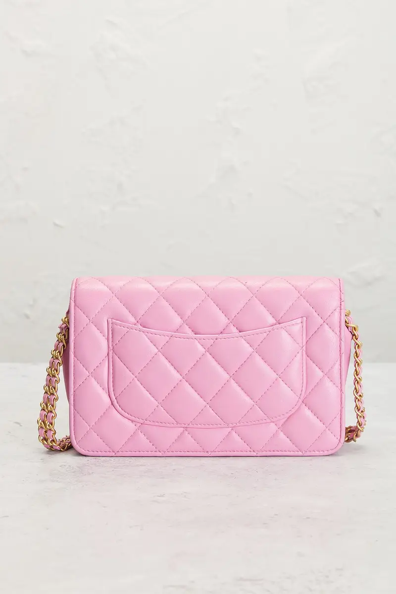 Chanel Chanel Lambskin Wallet On Chain | Thumbnail 3 Chanel Chanel Lambskin Wallet On Chain | Thumbnail 3