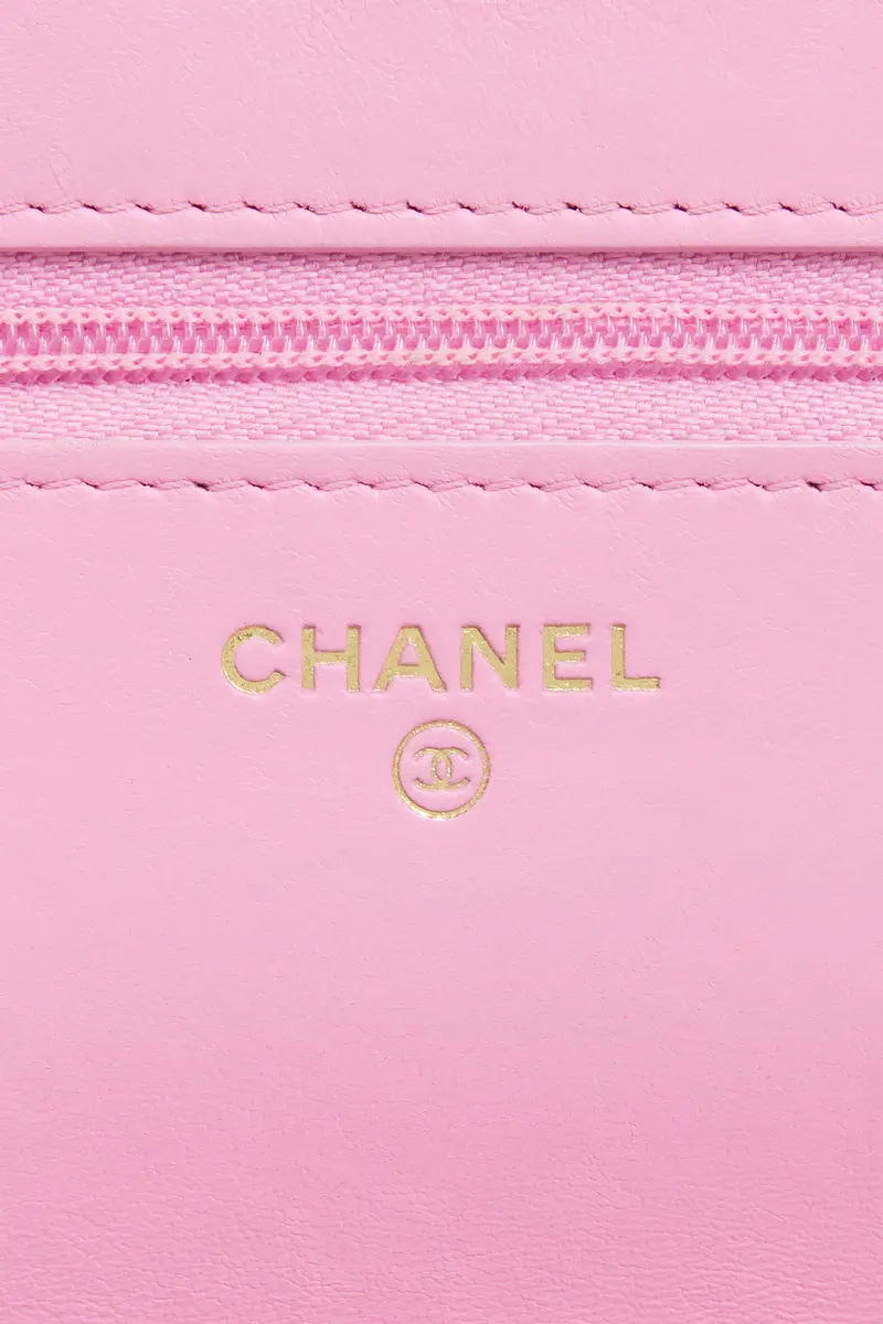 Chanel Chanel Lambskin Wallet On Chain | Thumbnail 5 Chanel Chanel Lambskin Wallet On Chain | Thumbnail 5
