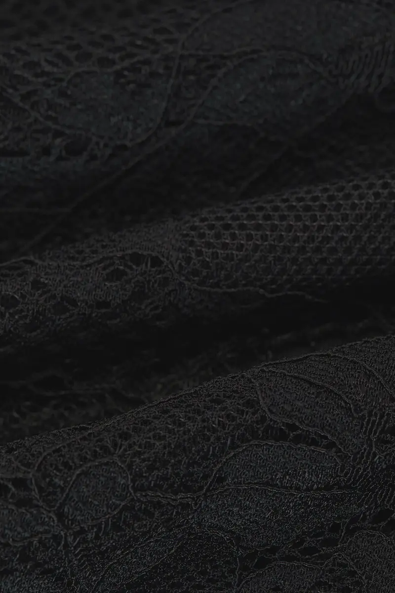 HAELO Lace Veiled Dress | Thumbnail 6