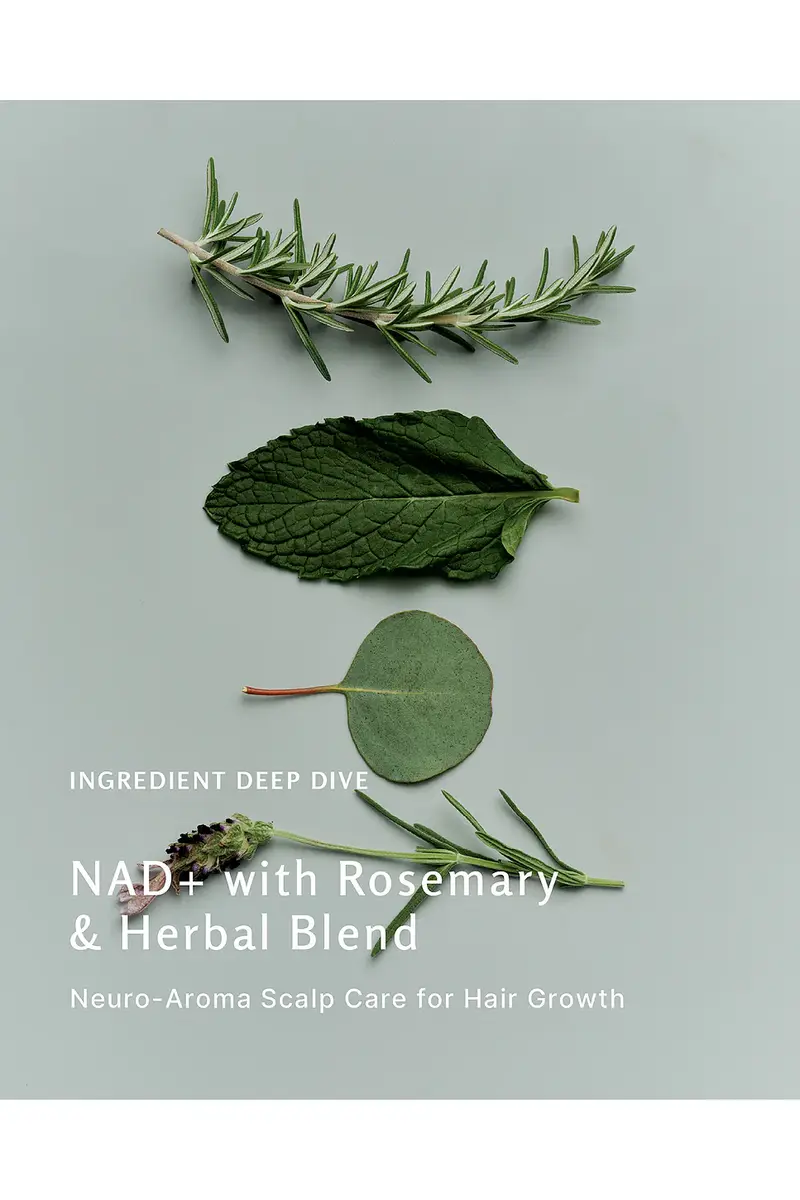 BIO MOTHER NAD+ Scalp Serum | Thumbnail 6 BIO MOTHER NAD+ Scalp Serum | Thumbnail 6