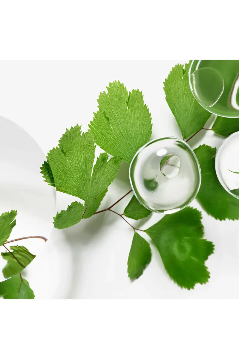 Sisley-Paris Ecological Compound Advanced Formula Moisturizer | Thumbnail 5