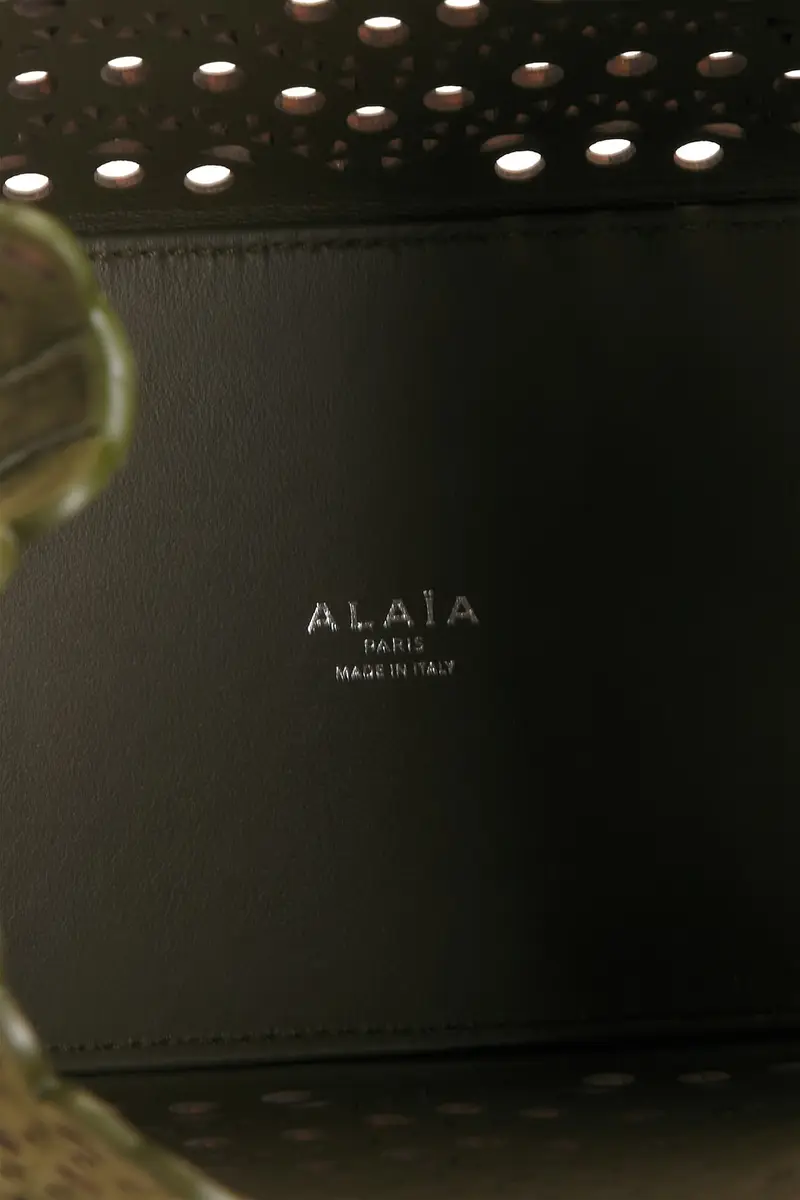 Alaïa ALAΪA Mina 20 Bag | Thumbnail 6 Alaïa ALAΪA Mina 20 Bag | Thumbnail 6