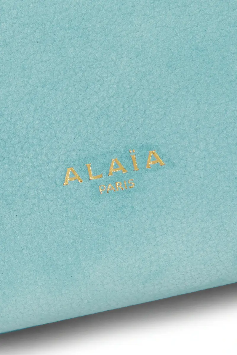 Alaïa Medium Teckel Nubuck Bag | Thumbnail 6 Alaïa Medium Teckel Nubuck Bag | Thumbnail 6
