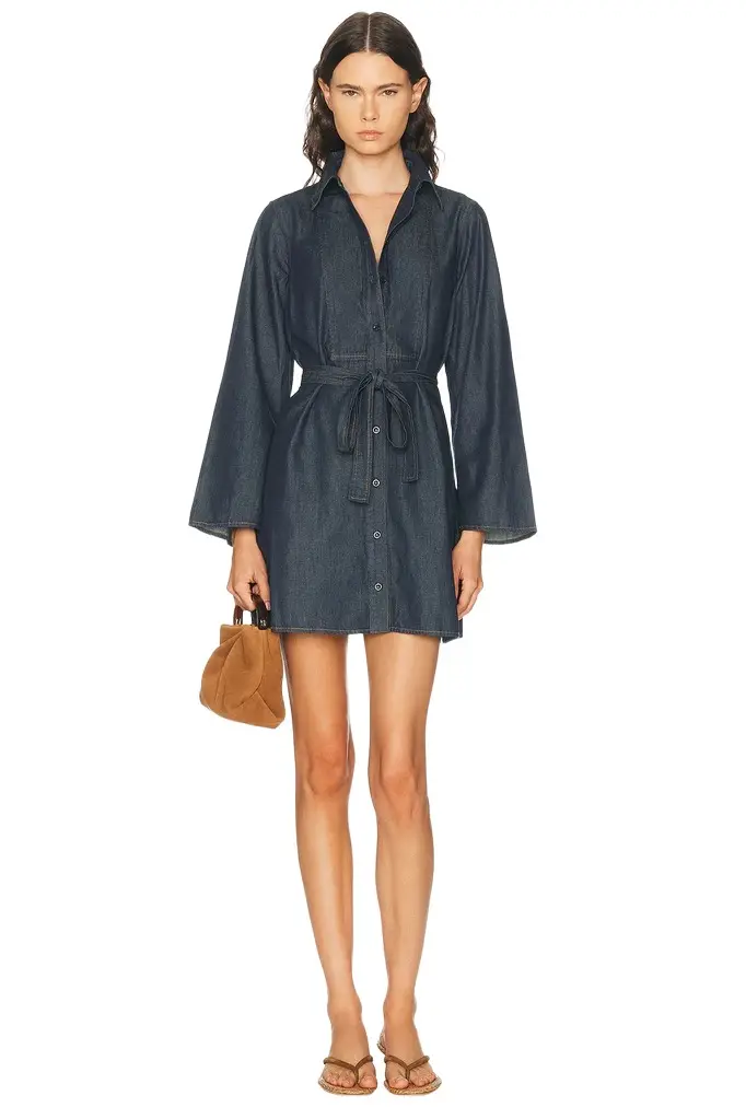 Frame The Denim Tuxedo Dress