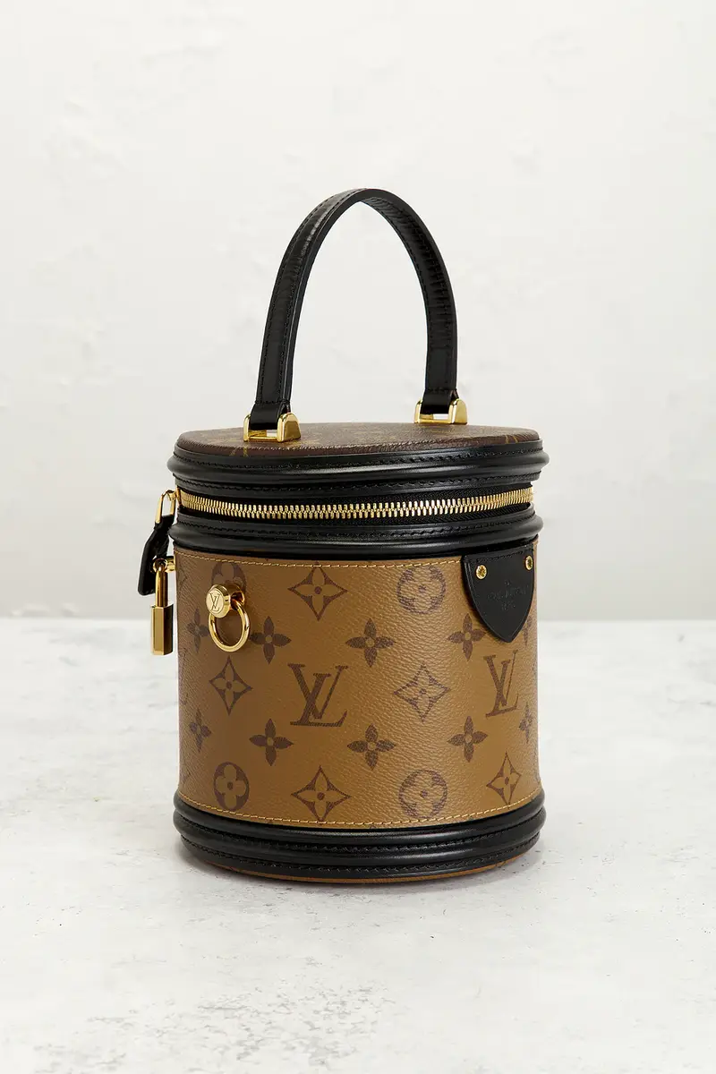 Louis Vuitton Louis Vuitton Reverse Monogram Cannes Handbag | Thumbnail 4