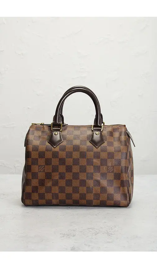 Louis Vuitton Damier Ebene Speedy 25 Handbag | Thumbnail 2
