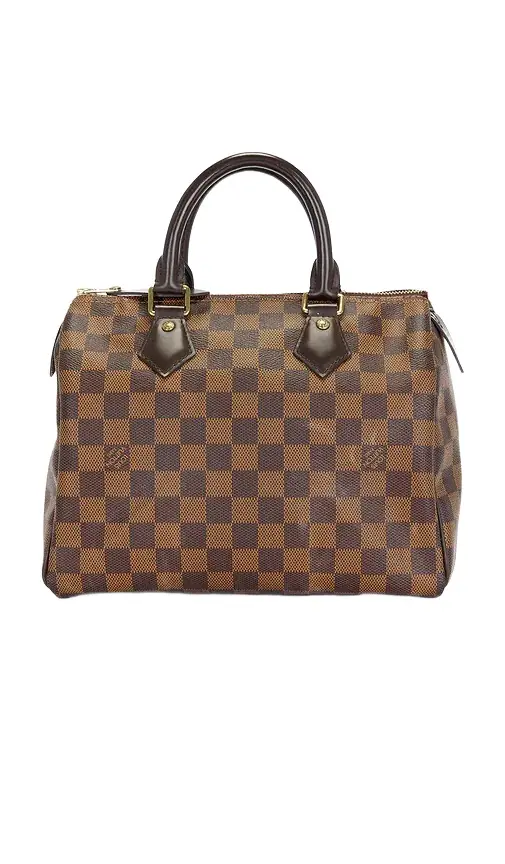 Louis Vuitton Damier Ebene Speedy 25 Handbag