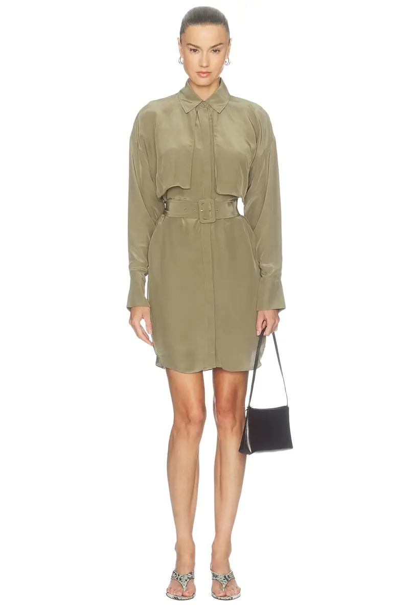 Darlis Tunic Dress