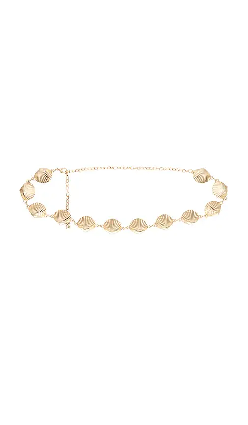 8 Other Reasons Seashell Belt