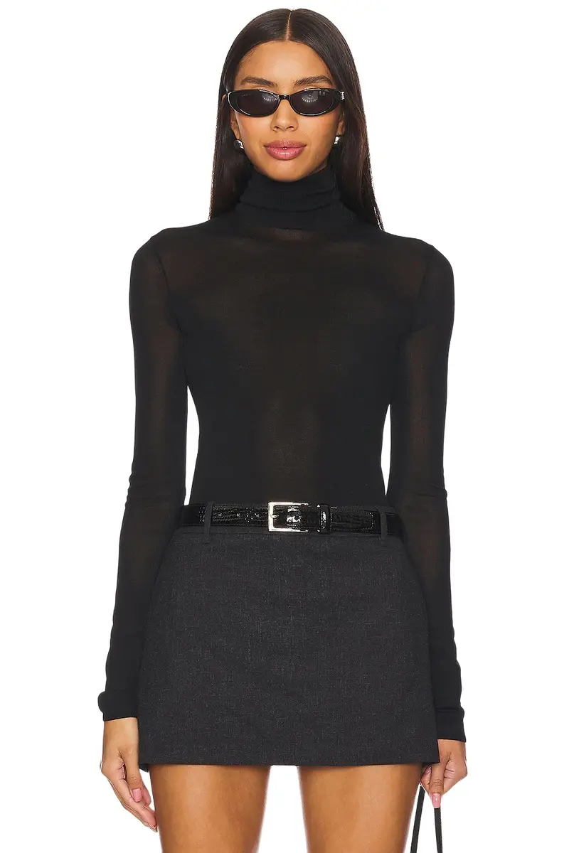 Alexander Sheer Turtleneck Sweater