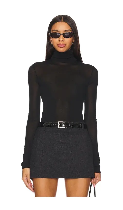 EAVES Alexander Sheer Turtleneck Sweater