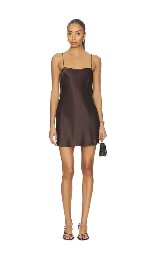 Roux Silk Mini Dress