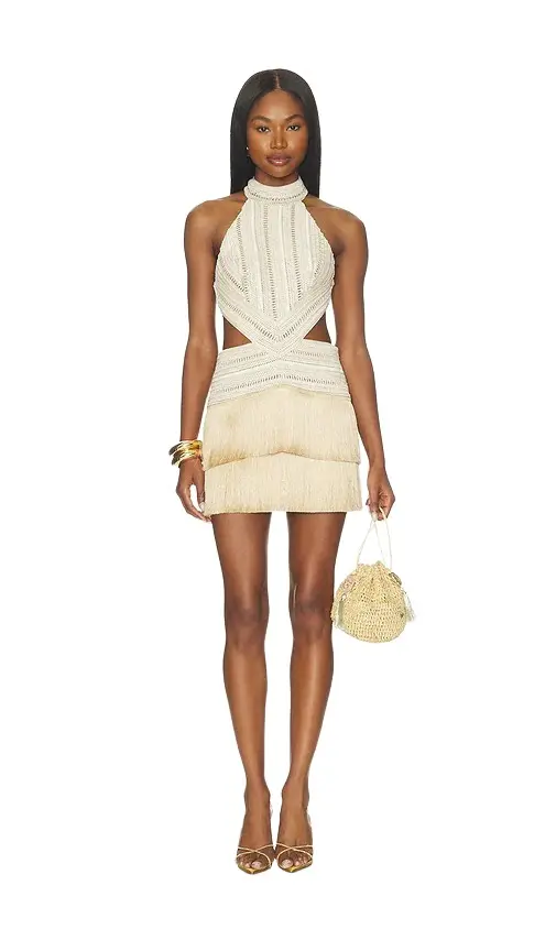 Petal Fringe Mini Dress Petal Fringe Mini Dress