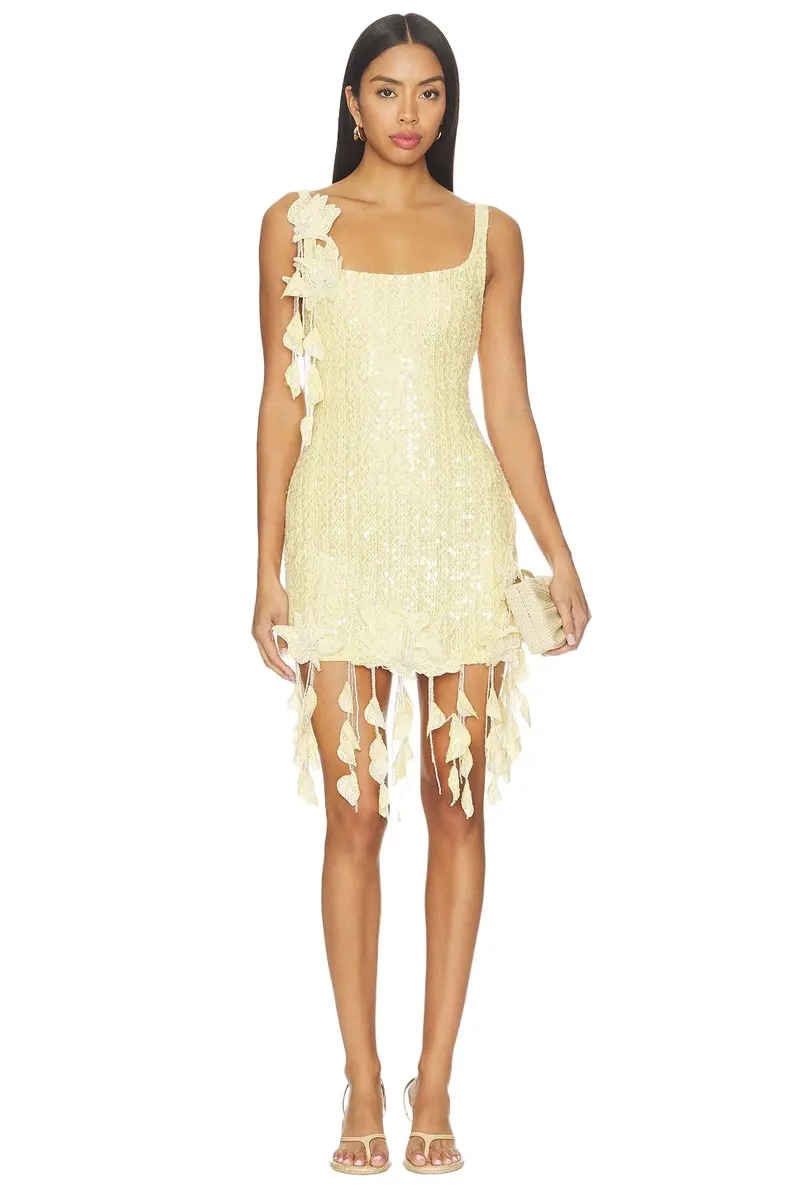 Lara Crochet Mini Dress