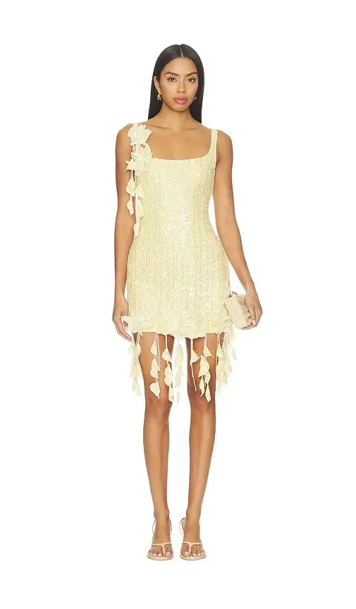 Lara Crochet Mini Dress Lara Crochet Mini Dress
