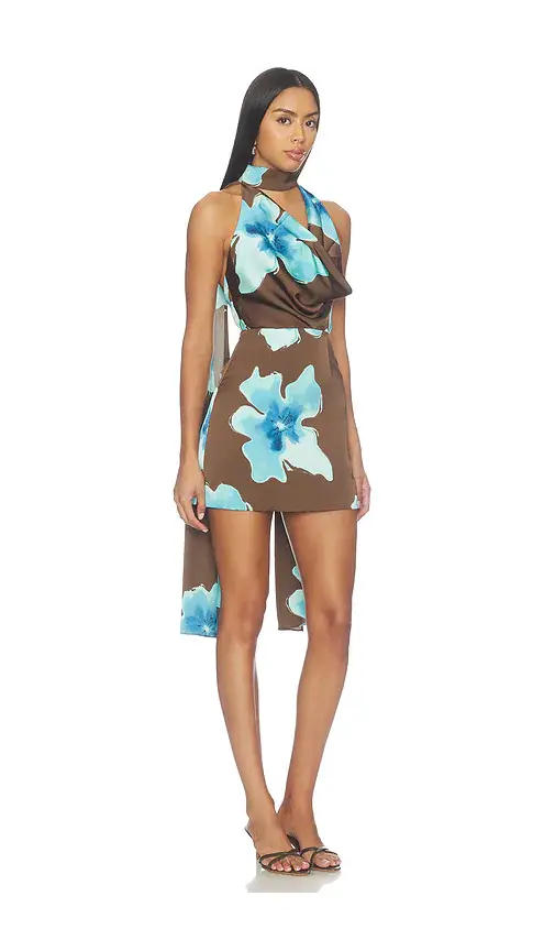 Lovers and Friends Sophina Mini Dress | Thumbnail 2