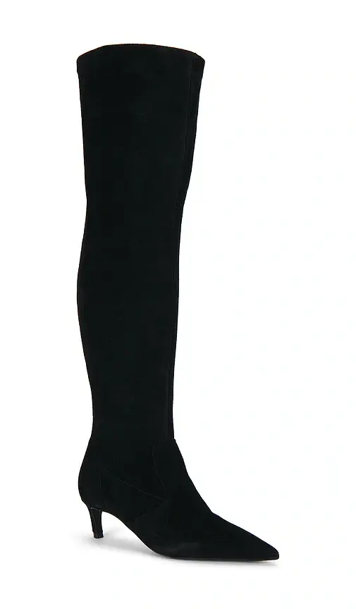 Schutz Odessa Over The Knee Boot | Thumbnail 2 Schutz Odessa Over The Knee Boot | Thumbnail 2