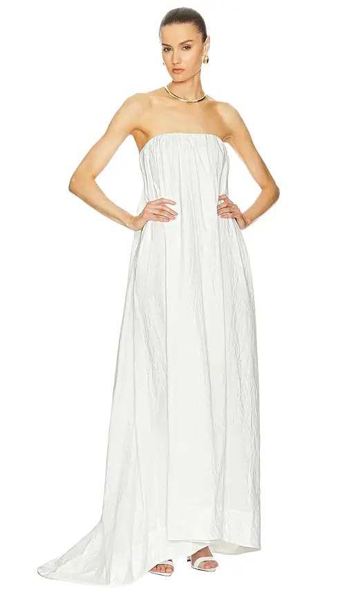 Helsa Crinkle Pleated Gown