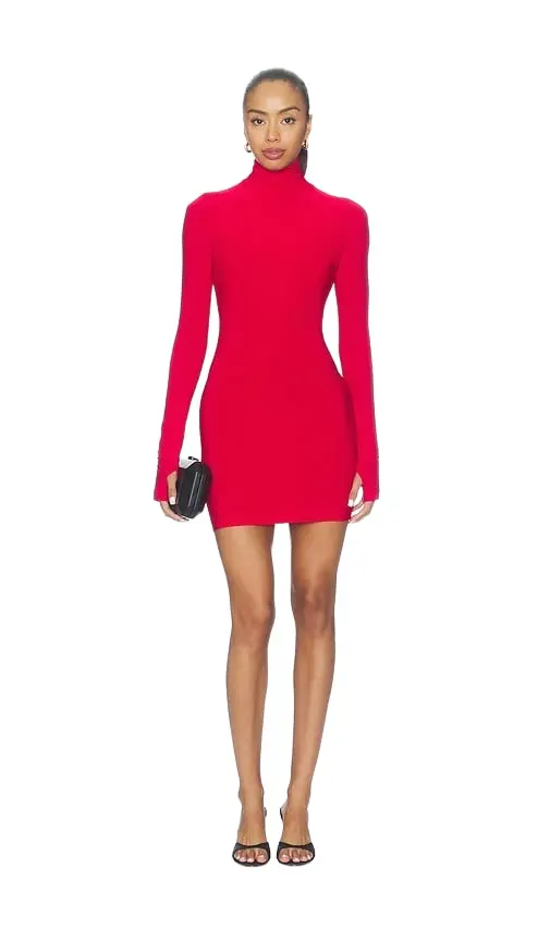 Long Sleeve Turtleneck Mini Dress Long Sleeve Turtleneck Mini Dress