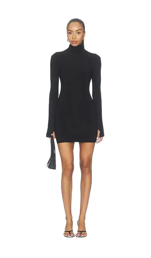 Long Sleeve Turtleneck Mini Dress Long Sleeve Turtleneck Mini Dress