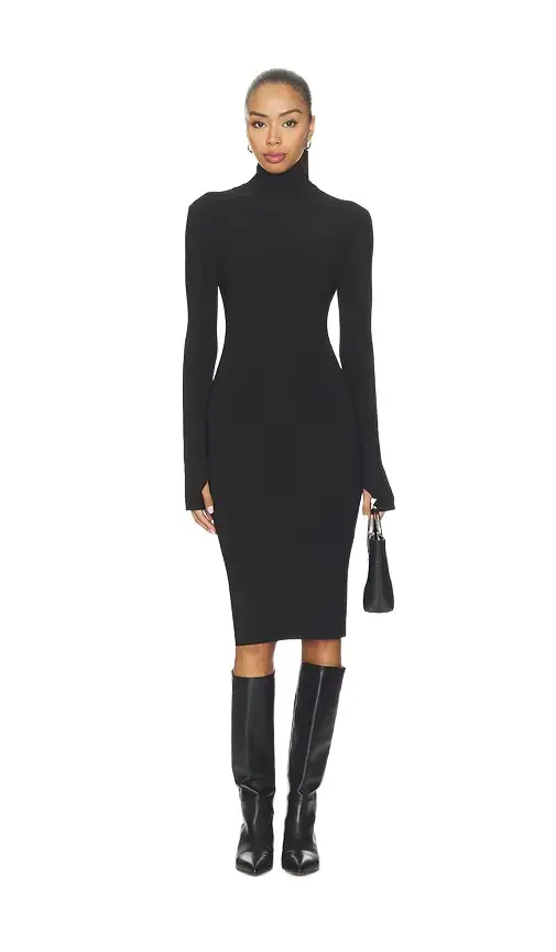 Norma Kamali Long Sleeve Turtleneck Dress