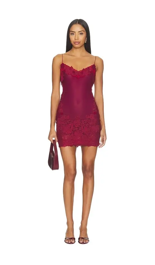 Anemone Mini Dress Anemone Mini Dress