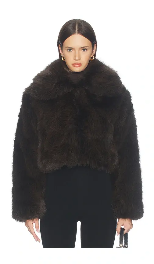 BLANKNYC Faux Fur Jacket | Thumbnail 2