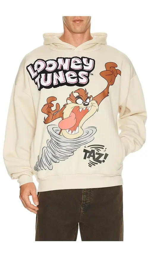 REASON Taz Chenile Patch Po Hoodie