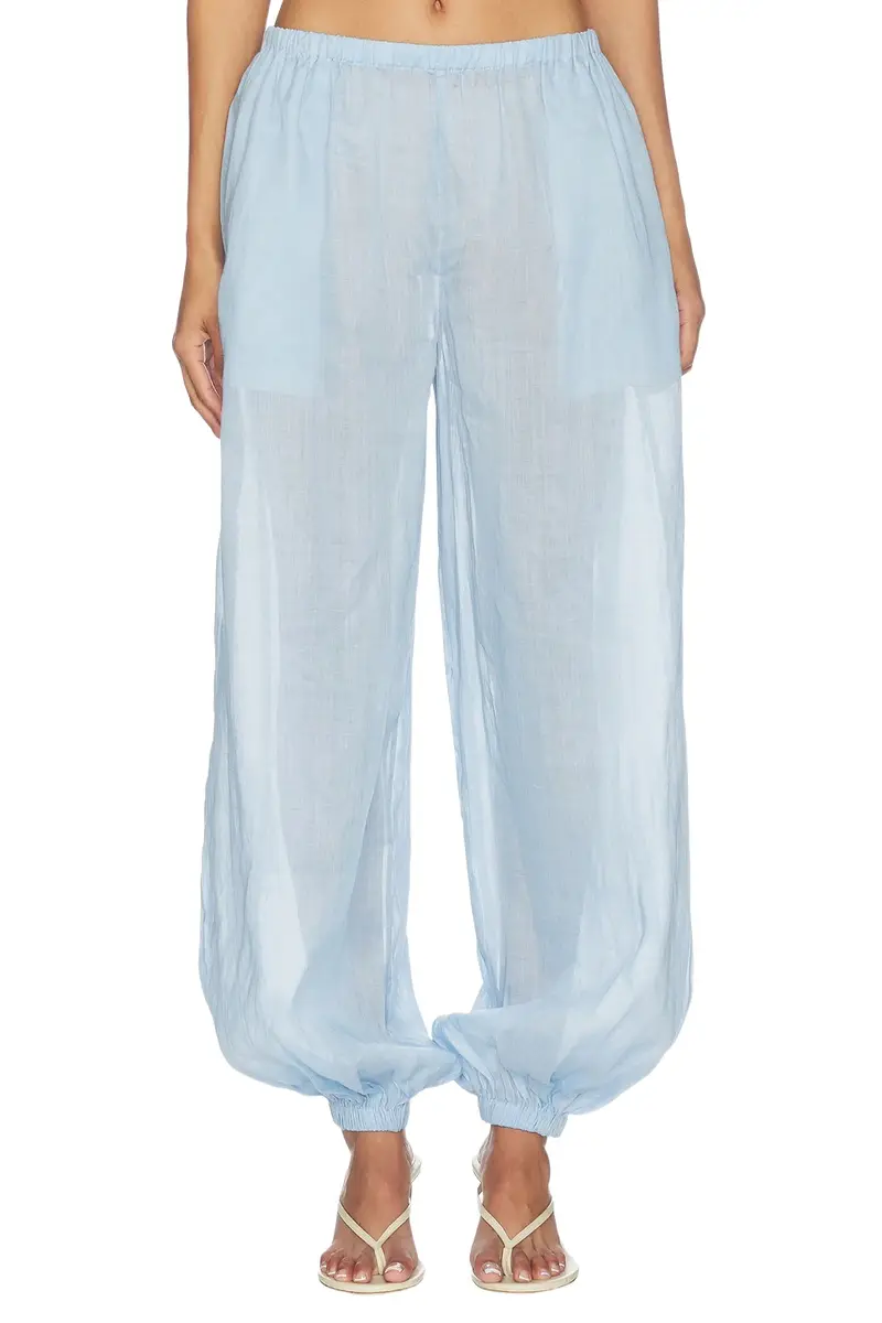 Darina Pant