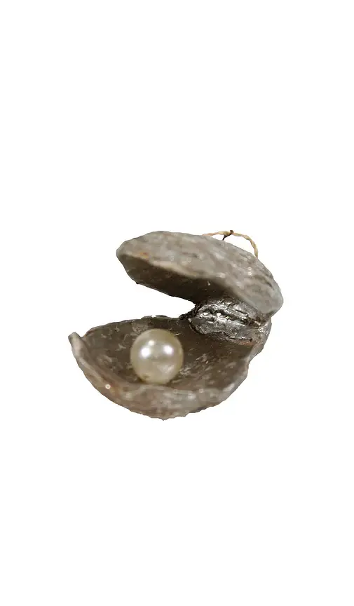 Cody Foster & Co Oyster With Pearl Ornament