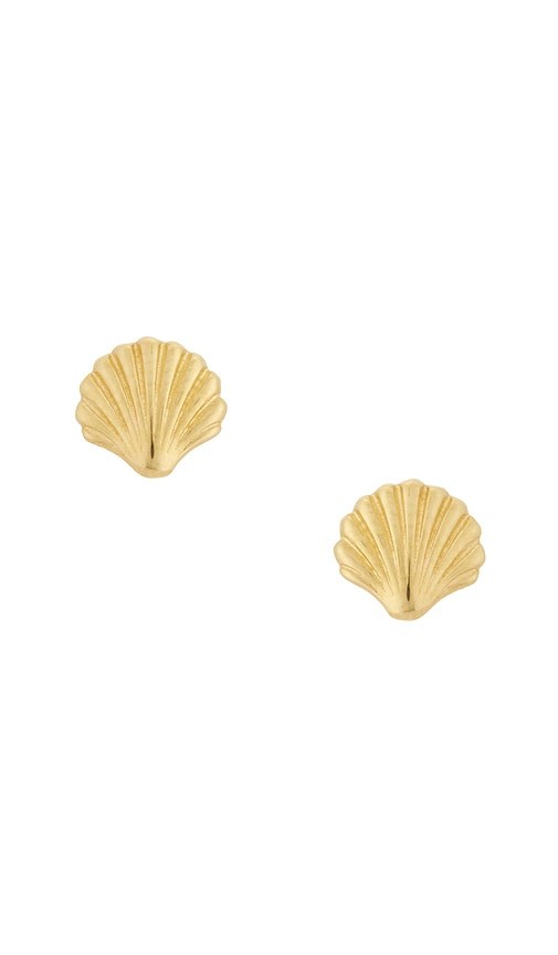 STONE AND STRAND Scallop Shell Earrings