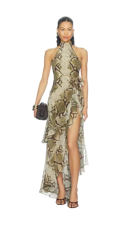 Nevae Chiffon Dress