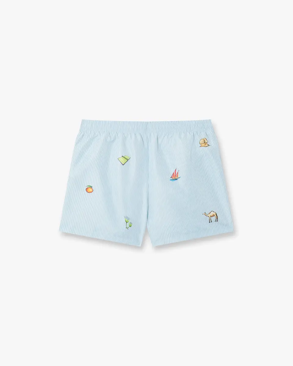 Casablanca Blue Striped Phantasmagoria Swim Shorts in Light Blue | Thumbnail 6