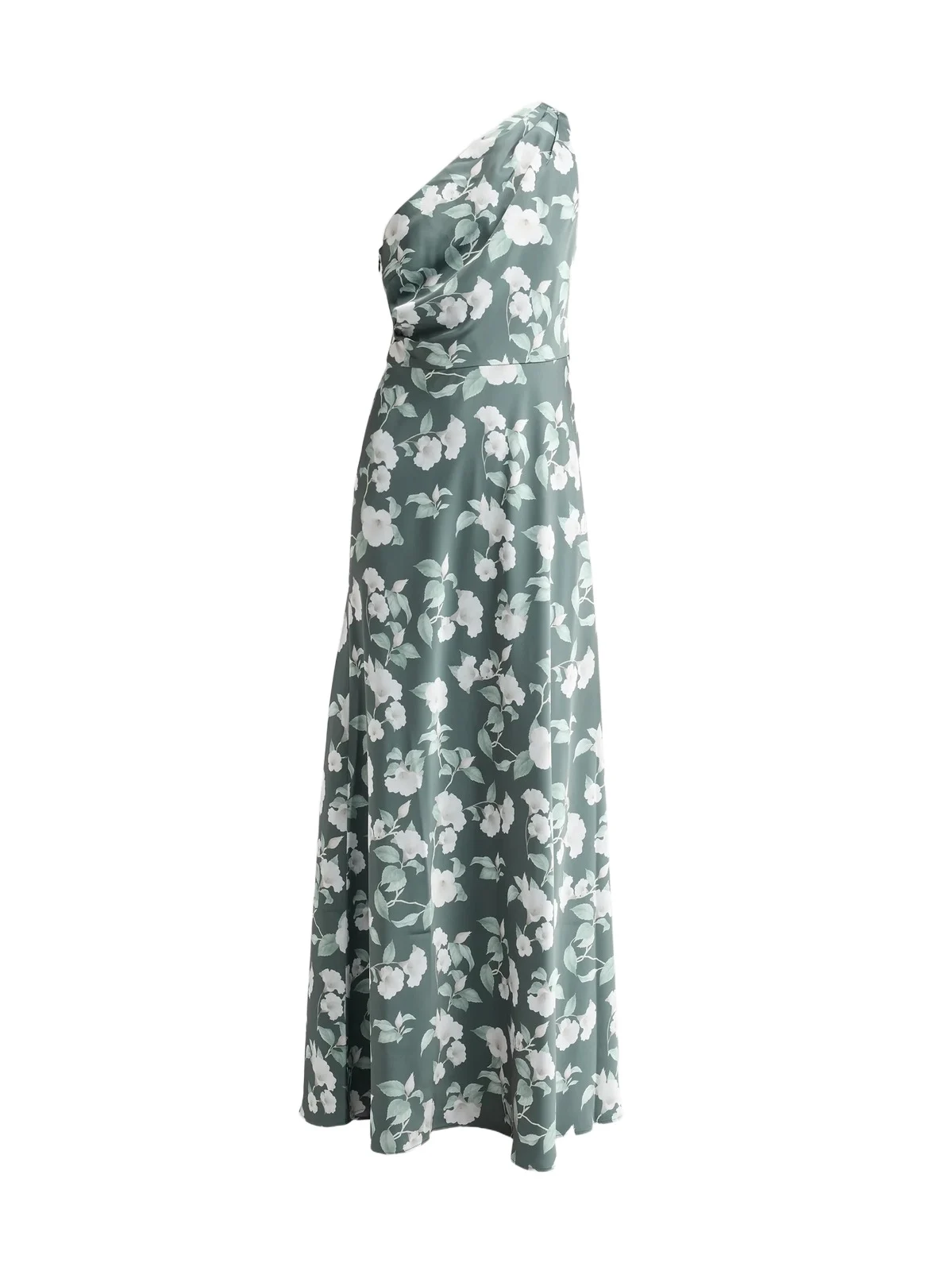 Women's Delphine One-Shoulder Chiffon Gown