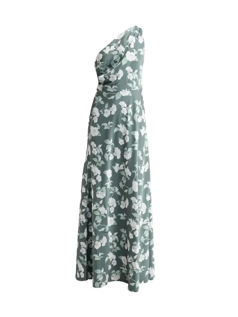 SACHIN & BABI Women's Delphine One-Shoulder Chiffon Gown