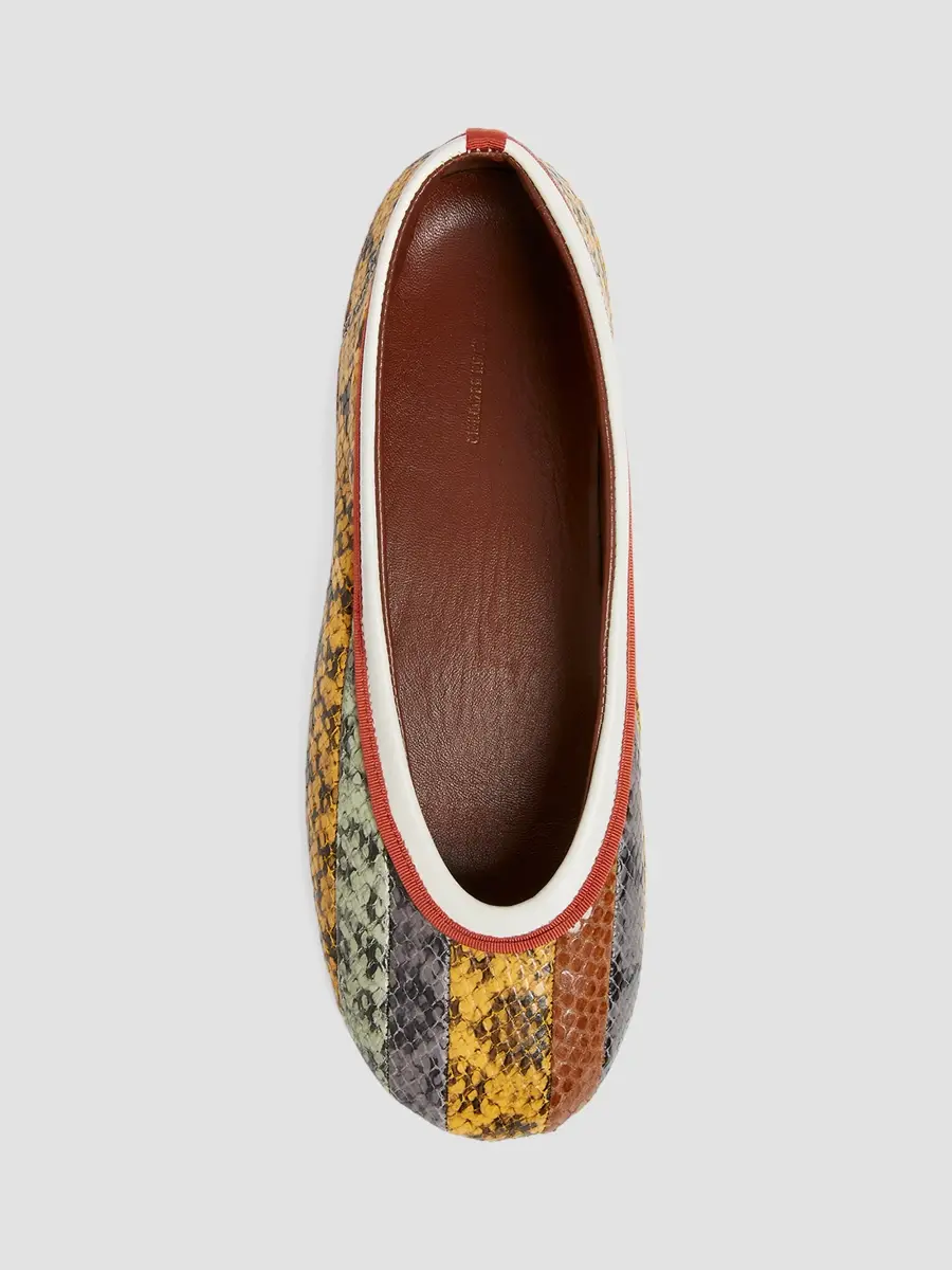 Dries Van Noten Women's Printed Leather Ballet Flats | Thumbnail 5 Dries Van Noten Women's Printed Leather Ballet Flats | Thumbnail 5