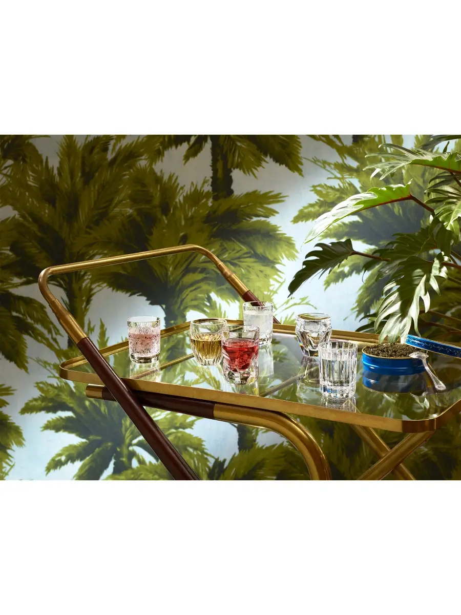Baccarat Everyday Take A Shot Glass 6-Piece Set | Thumbnail 2 Baccarat Everyday Take A Shot Glass 6-Piece Set | Thumbnail 2