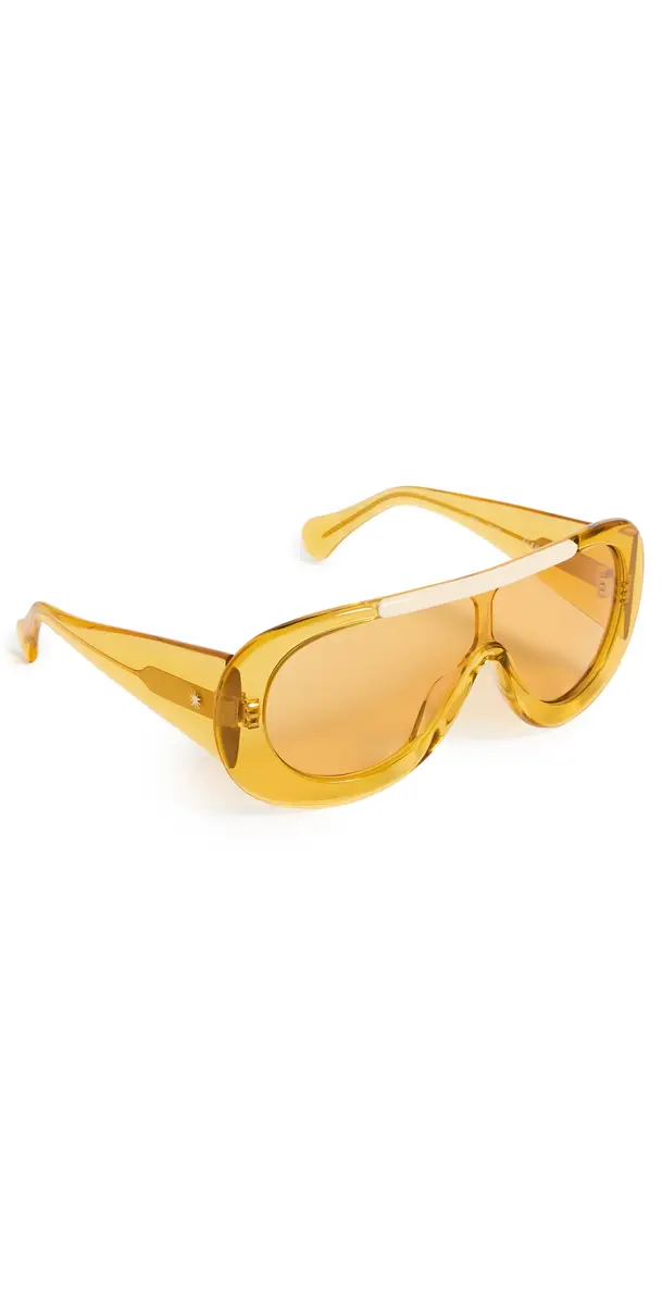 Navigator Sunglasses Navigator Sunglasses