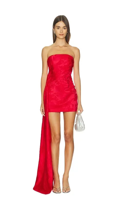 Alix Mini Dress Alix Mini Dress