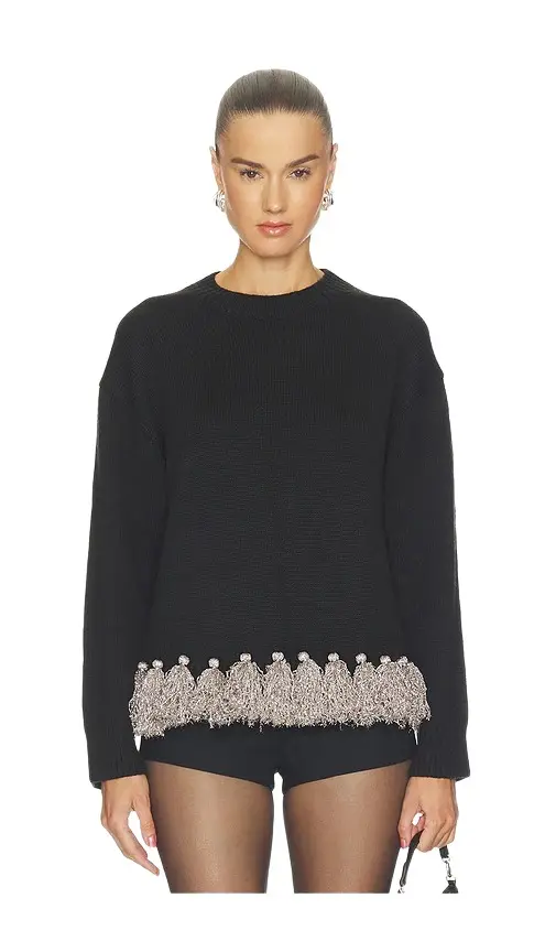 Roni Metallic Tassel Sweater Roni Metallic Tassel Sweater