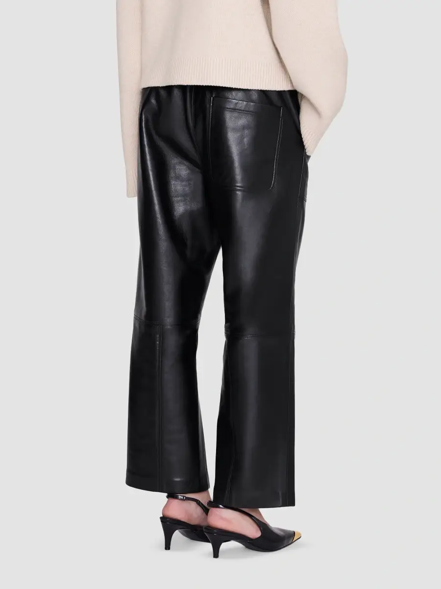 Anine Bing Women's Billy Leather-Blend Pants | Thumbnail 3