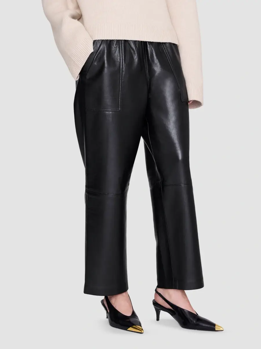 Anine Bing Women's Billy Leather-Blend Pants | Thumbnail 4