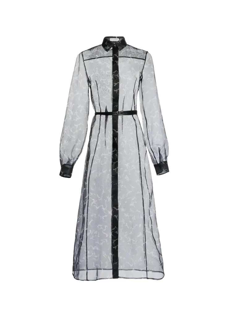 Judina Abstract-Print Silk Organza Belted Midi Shirtdress